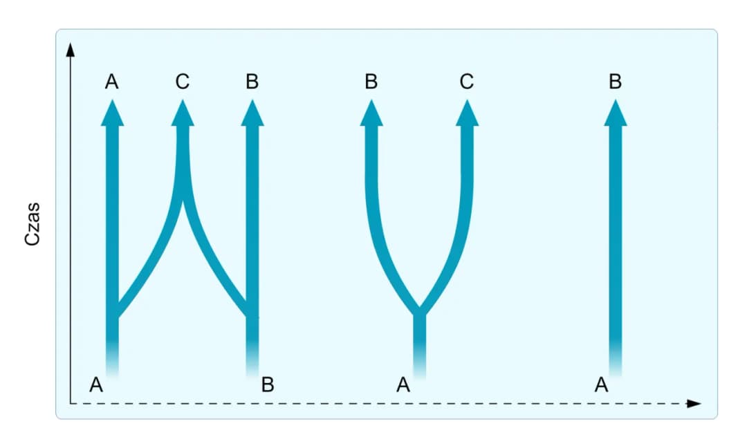 Izolacja geograficzna: Jak bariery tworzą nowe gatunki?