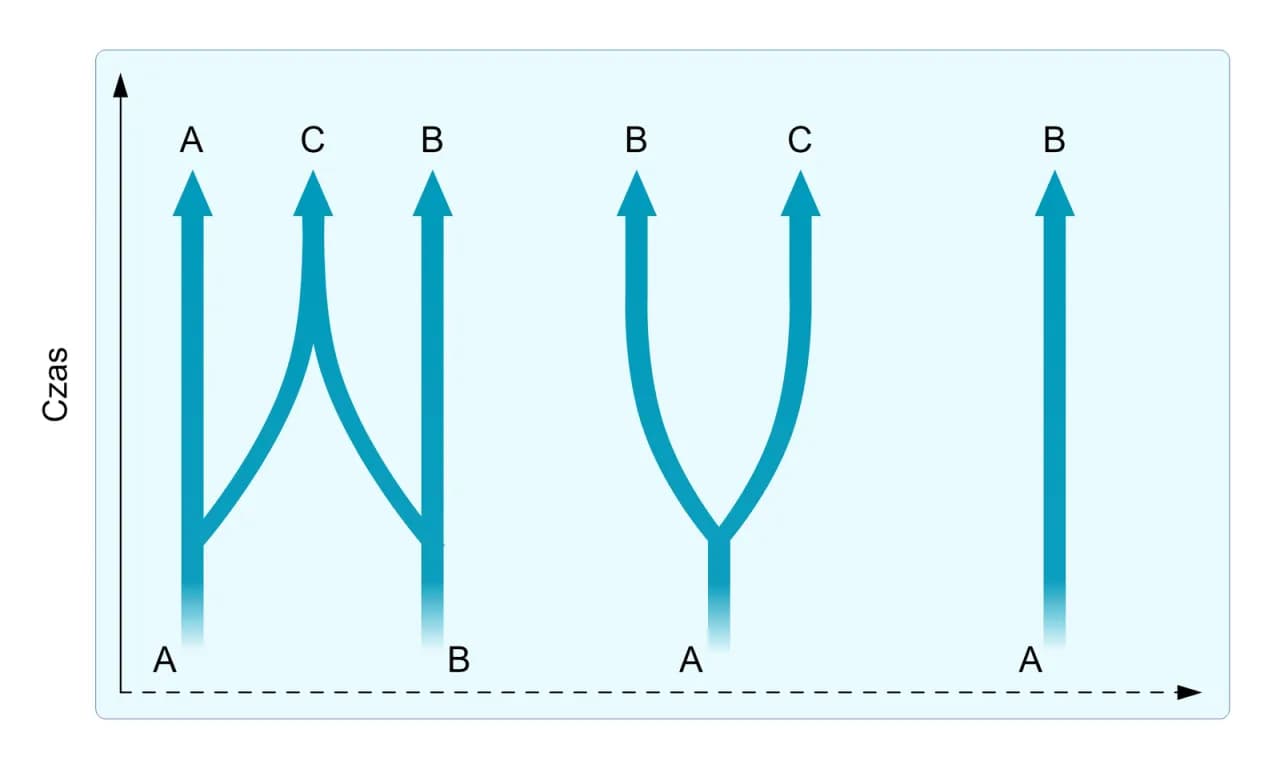 Izolacja geograficzna: Jak bariery tworzą nowe gatunki?